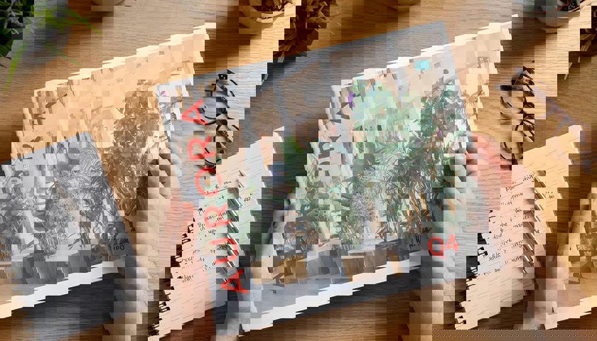 Bilde_rapport q4.jpg